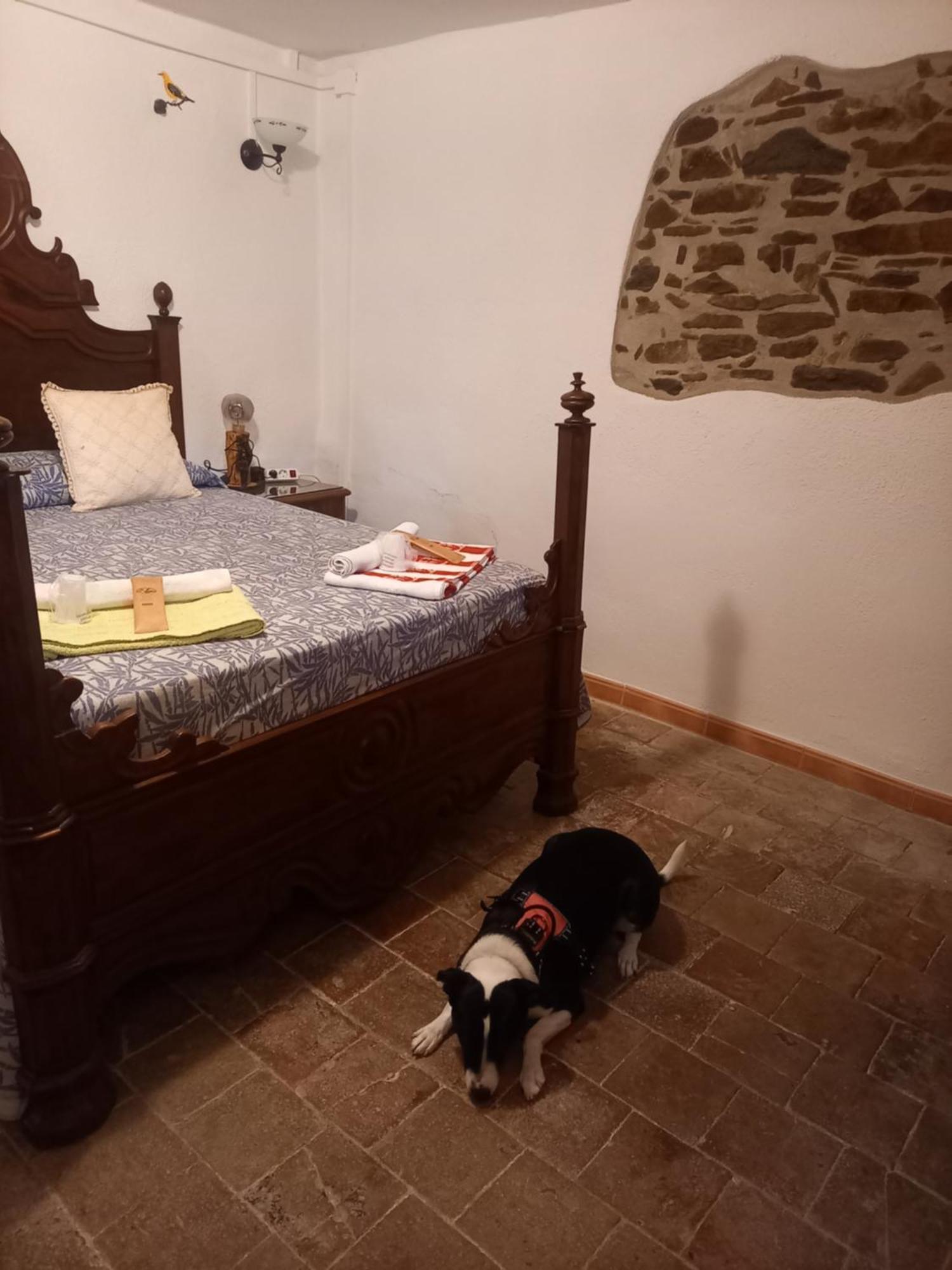 Hostal Rural Mas Blanc San Martín de Centellas Esterno foto