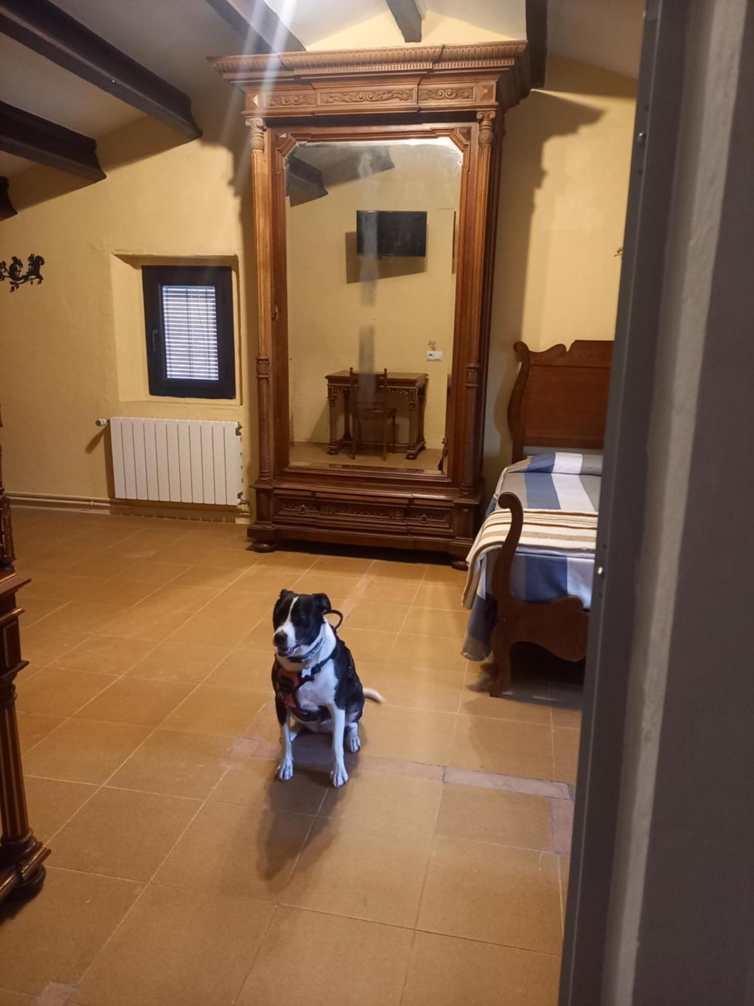 Hostal Rural Mas Blanc San Martín de Centellas Esterno foto
