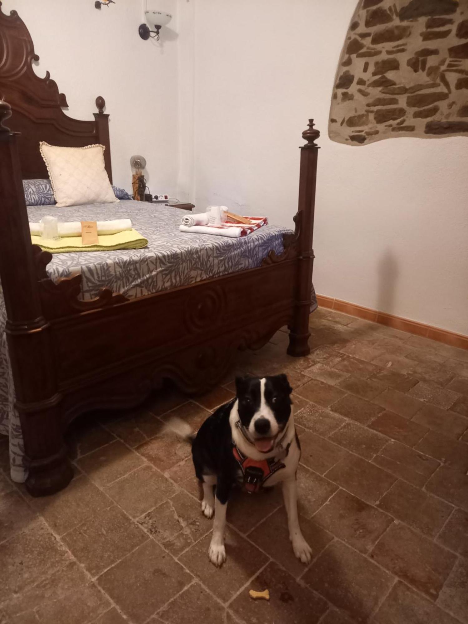 Hostal Rural Mas Blanc San Martín de Centellas Esterno foto